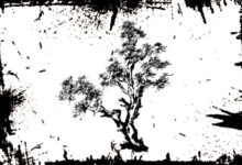Photo of Дерево: что означает дерево в гадании и во сне