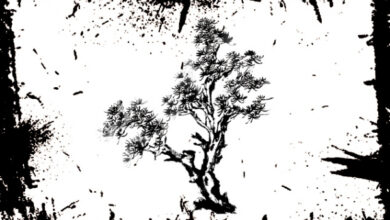 Photo of Дерево: что означает дерево в гадании и во сне