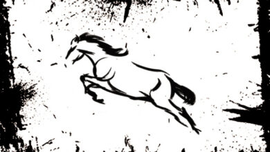 Photo of Лошадь в гадании на кофейной гуще и на воске