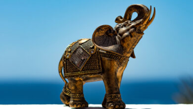 Photo of Значение статуэтки слона с поднятым и опущенным хоботом по фен-шуй